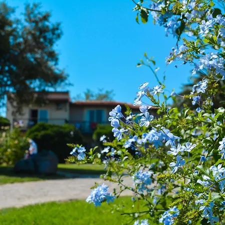 Club Atlantis 塞费里希萨尔