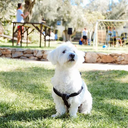 Club Atlantis מלון